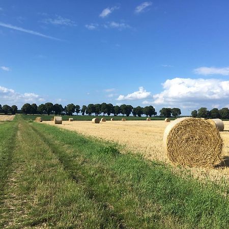 Ferienapartment Kastanje Gross Ippener Luaran gambar