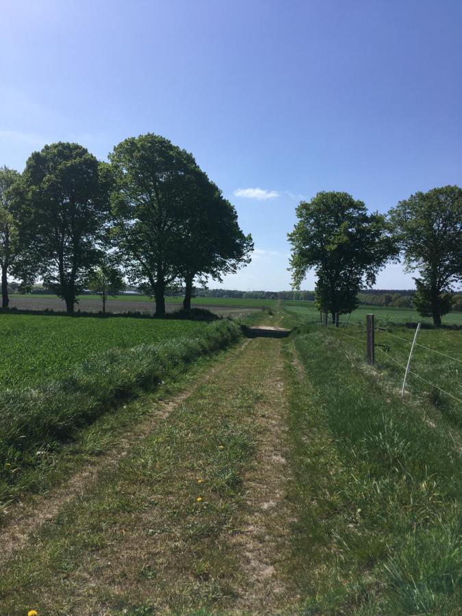 Ferienapartment Kastanje Gross Ippener Luaran gambar