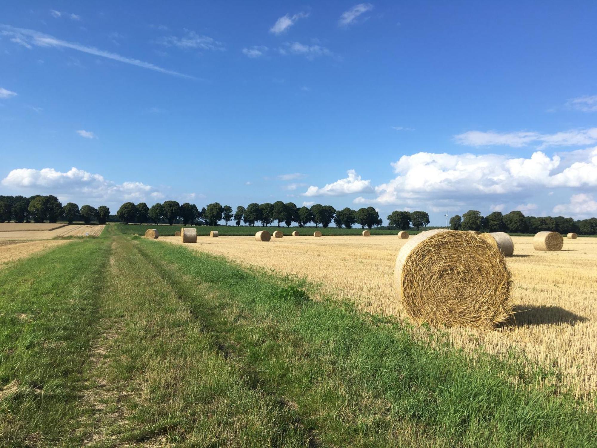 Ferienapartment Kastanje Gross Ippener Luaran gambar